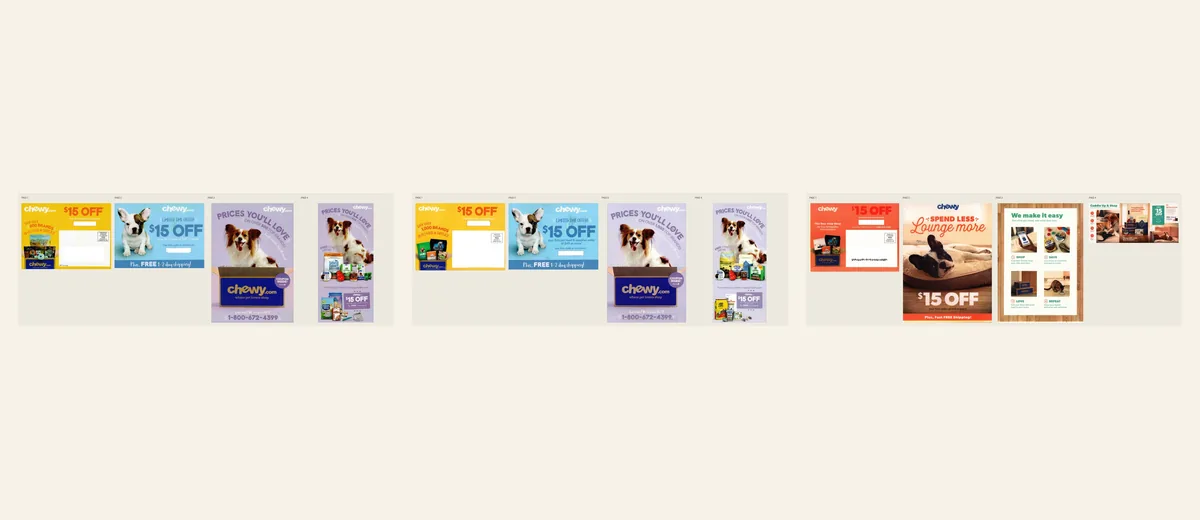 Examples of Chewy pet-supplies welcome package